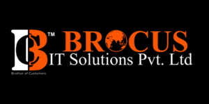 Brocus IT Solutions